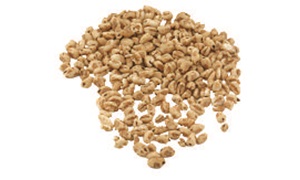 HONEY GRANIES
