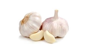 GARLIC